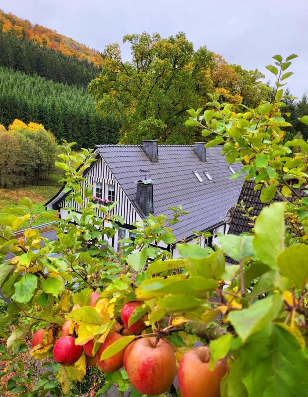 Ferienwohnung Kraehling Schmallenberg Zewnętrze zdjęcie
