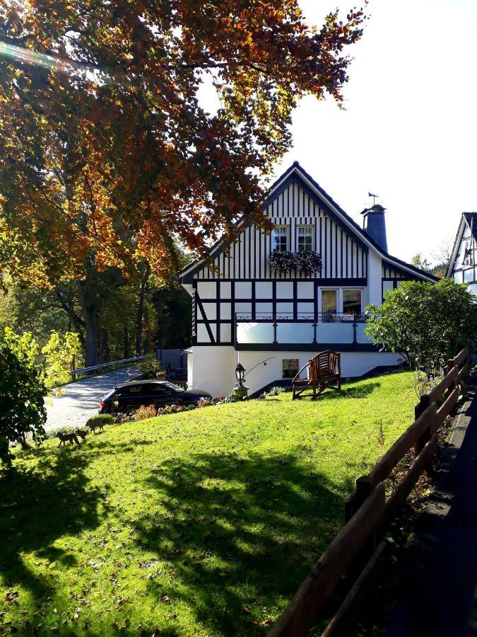 Ferienwohnung Kraehling Schmallenberg Zewnętrze zdjęcie